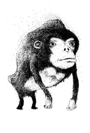 gorilla art print