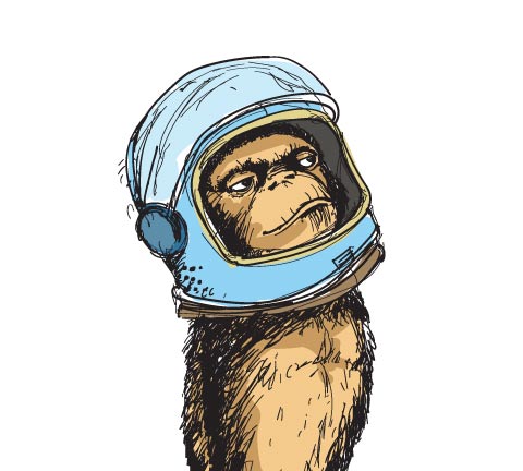 Space Monkey