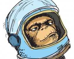 Space Monkey illustration