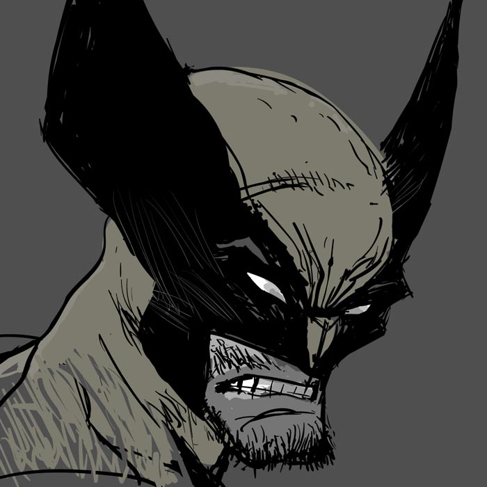 detail of wolverine illustration