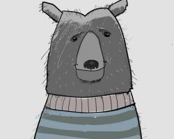 Bear illustration vector
